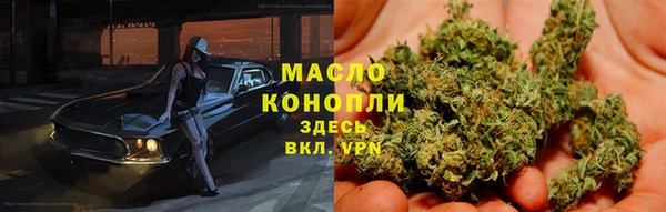 сатива Осинники