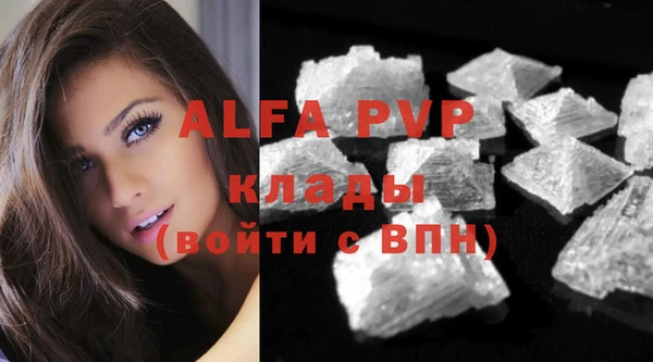 стафф Вуктыл