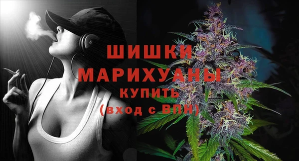 гидропоника Няндома