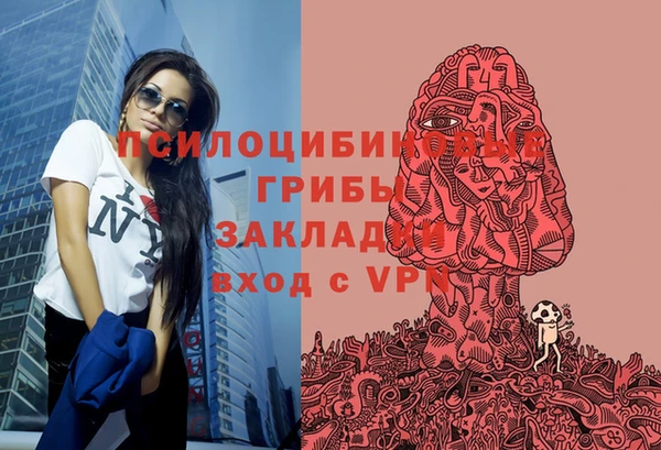 сатива Саяногорск