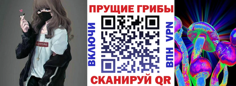 Галлюциногенные грибы Magic Shrooms нарко площадка Telegram Новотроицк