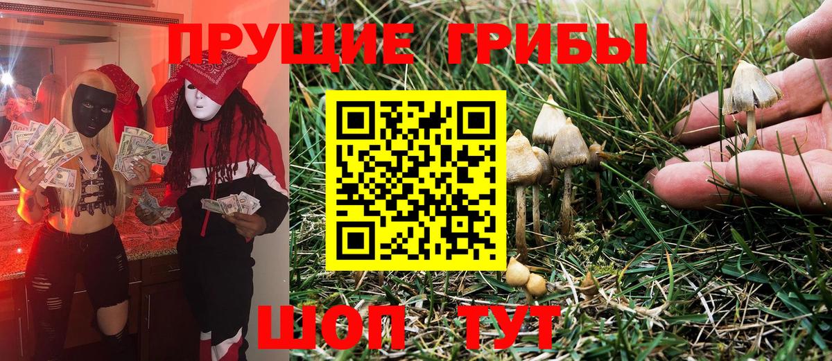Псилоцибиновые грибы ЛСД Новотроицк